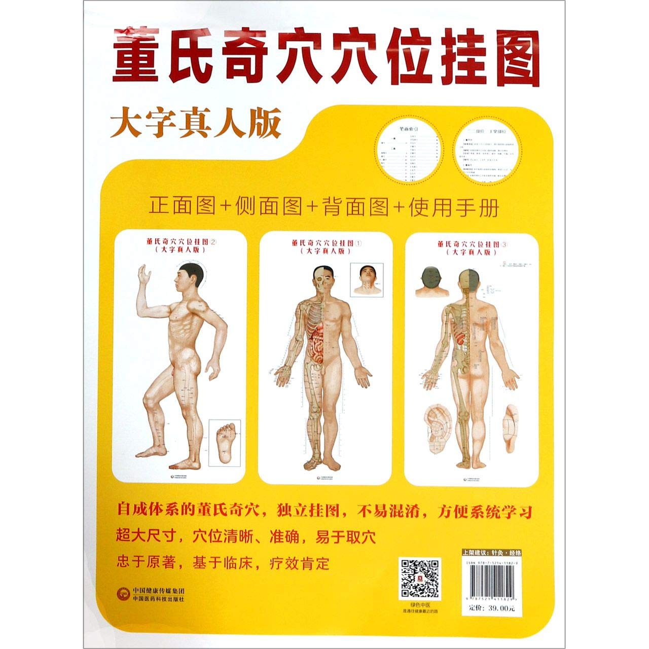 実用穴位療法全書 驰创图书】【大字真人版】董氏奇穴穴位挂图3张大尺寸高清挂图中医临床